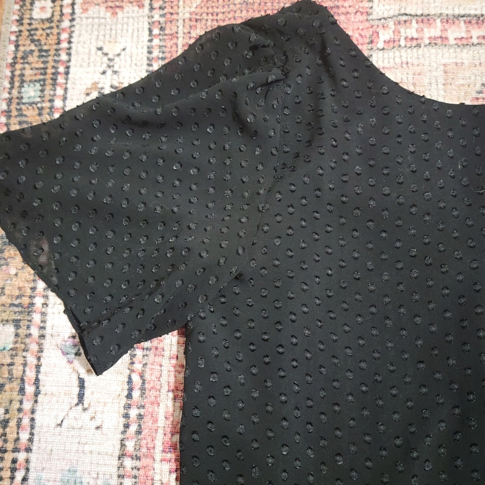Black polka dot blouse, sheer overlay